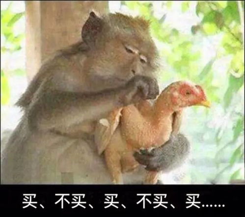 我有一句妈卖批不知当不当讲