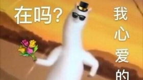 跳舞表情包尬舞