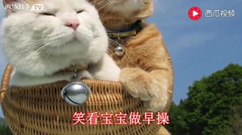 174种太阳儿歌300首