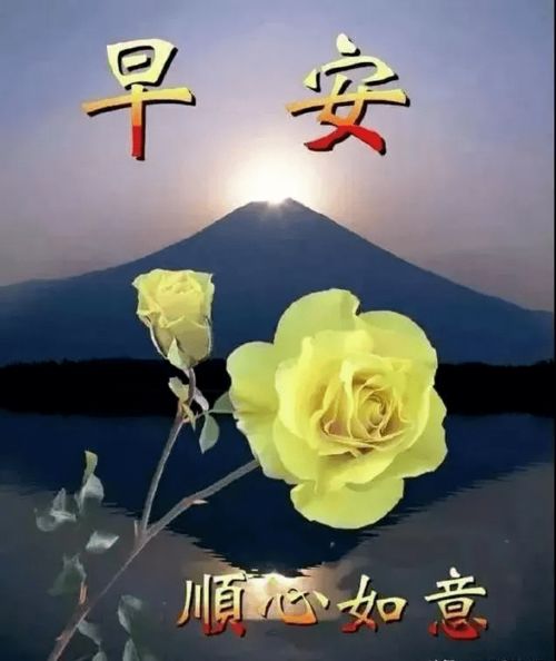鲜花早上好图片大全周四早安祝福语表情专辑