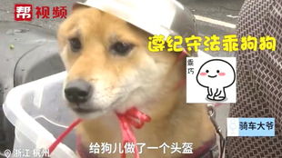 疫情之后第75天健身