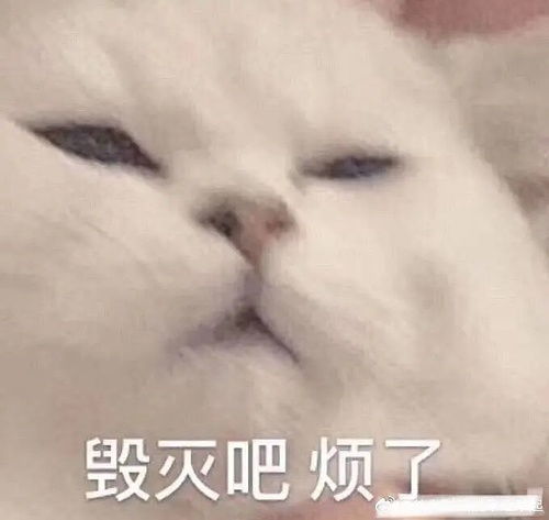 太累了表情包基因变异