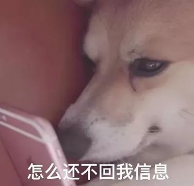 让鞋狗不心酸,舔狗不卑微的原价抢鞋指南