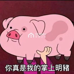 皮皮猪表情包图片情侣头像