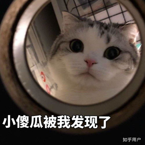 微笑表情包图片下载保持微笑