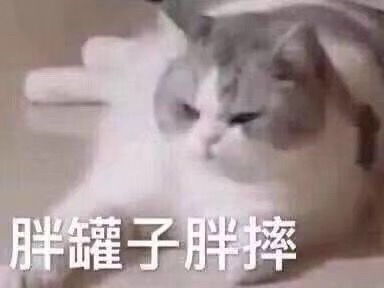 记录一下因为眼袋和泪沟做了眶隔脂肪释放的我