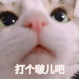 别以为气球只能婚房布置用这些创意玩法千万网友点赞