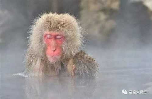 有种病一查出来就是晚期,你不可不知