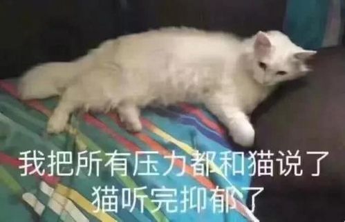 零笑点上厕所的时候,被问吃饭了没我这样回答