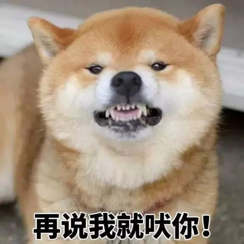 杭州路上两车刮擦没1000块搞不定一分钟教你如何避免修理费
