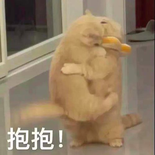 2021年7月23日早鸟报