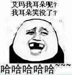 2019年快乐各大卫视跨年混战,第一次笑出猪叫声