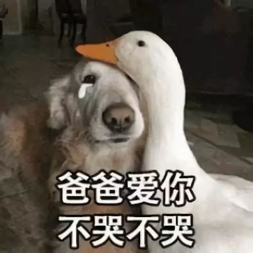 小霸王仙知机器人带你一起涨知识