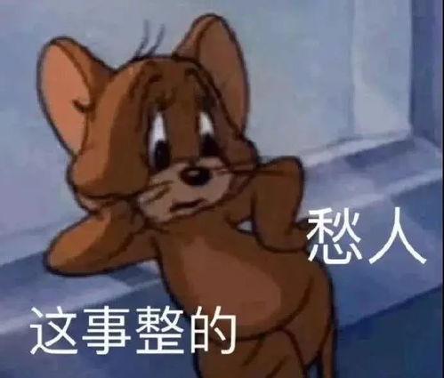 巴蓬带来史上最晚台风雨福建或有暴雨厦门这周末天气