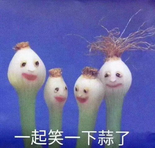 排雷本周半价南宫词