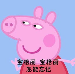 小猪佩奇连名牌都不认识几个的人系列表情包小猪佩奇连名牌都不认识几个的人表情包
