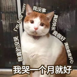 脱单减肥挣大钱为什么我们每到新年都如此不切实际