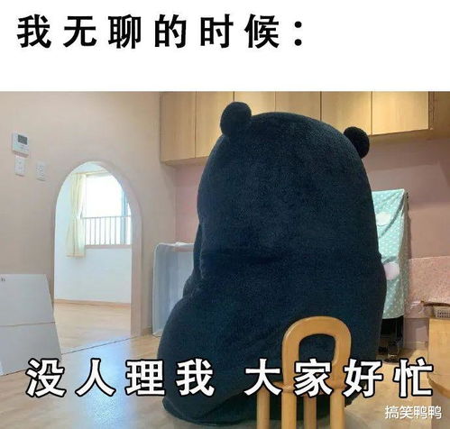 套路对象道歉的新方式,哈哈哈果然是高手过招,学到了学到了