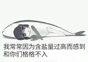 表情包多的同学,人缘总不会太差