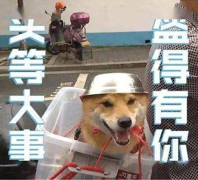 头等大事,幸盔有你戴与不戴,天堂地狱