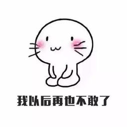 吐槽据说这是一组男票必备的表情包,认错专用买买买专用...望周知