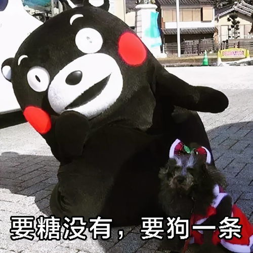 熊本熊万圣节要糖表情包合集不给糖就捣蛋