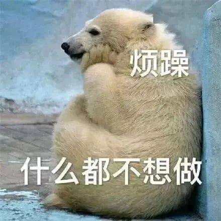 可爱沙雕搞笑表情包快乐回来了
