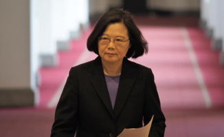 搞笑蔡英文会见这个友邦台媒以为是联合国五常
