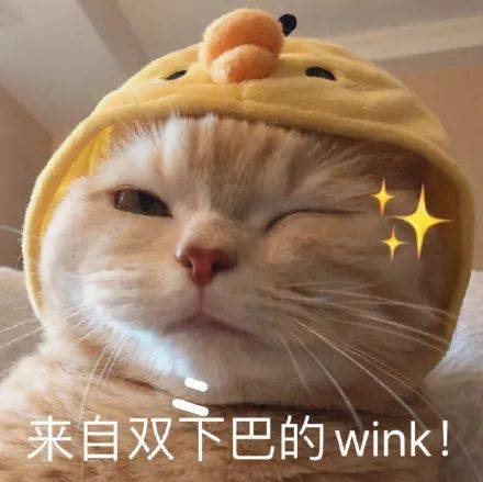 活动篇选丑大pk,排名由你定