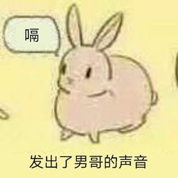 男哥花絮