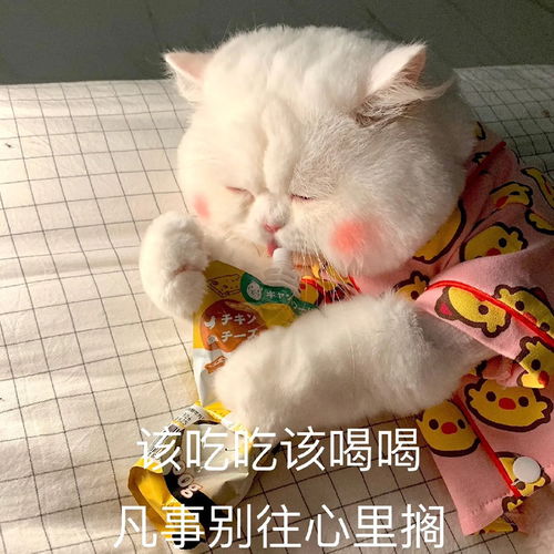 让人不得不喜欢的跨年温柔文案