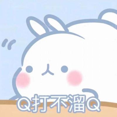 可爱的表情包头像谈恋爱不如斗图可爱点