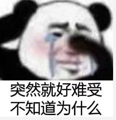 开启算法之路,还原题目,用debug调试搞懂每一道题