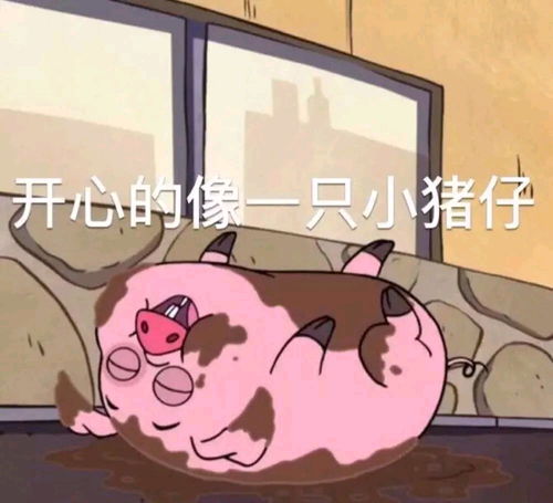 珍藏的表情包3