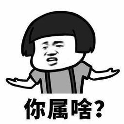 我请跟你请个假,请你嫁给我热门撩妹表情包