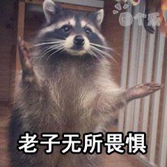 搞笑内涵沙雕表情包眼睛瞪得像铜铃,射出闪电般的机灵