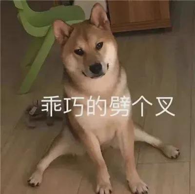 表情包没事的,宝儿