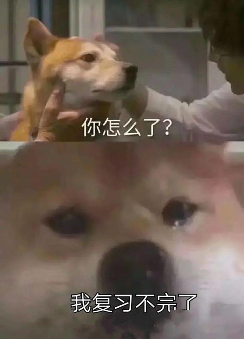 疫情最新情况学生确诊病例,会停课或封校吗