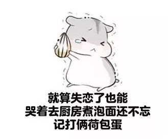 我的收藏夹