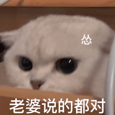 抖音表情包动图精选