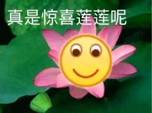 一块钱就可以百万医疗险是真的吗