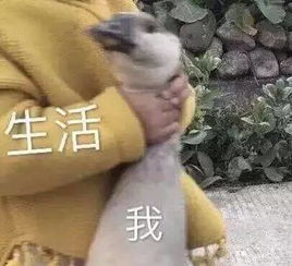 龙舟水来了暴雨天行车除了减速,这2点能帮你远离事故