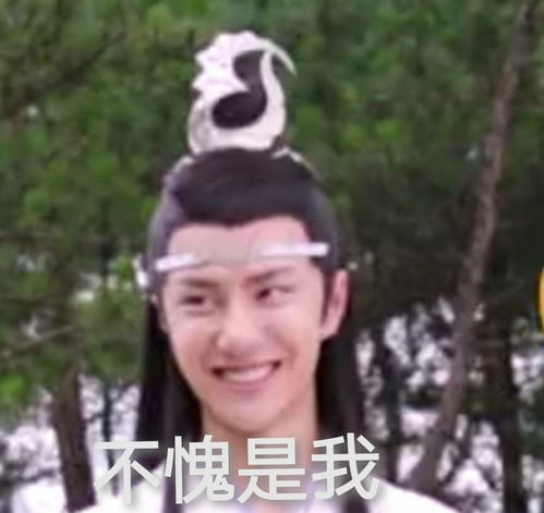 忘羡表情包王一博