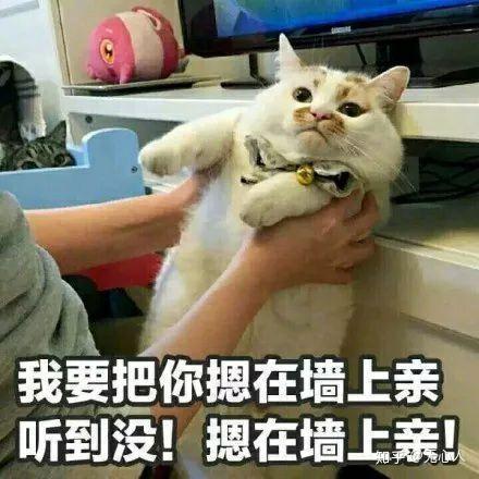 有没有可可爱爱的小图表情包