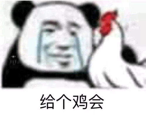 网络实践练本领家乡振兴勇挑担