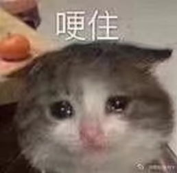 官服求加好友qwq