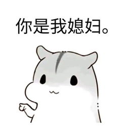 你最常用哪些有意思的表情包
