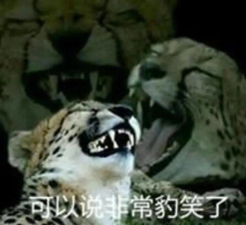 沙雕表情包斗图必备