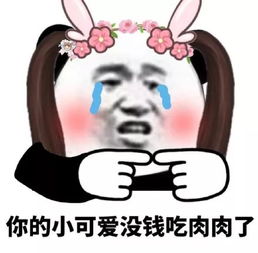 熊猫头表情包i你的小可爱没钱吃肉肉了