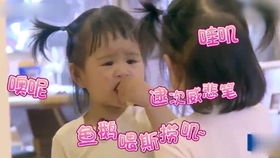 表情包输出大户包饺子